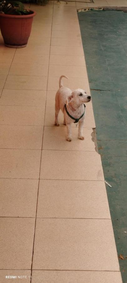 סלטה Plaza Hostel Sj 2 מראה חיצוני תמונה